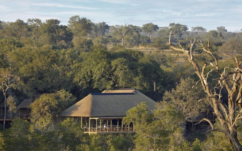 Londolozi Founders Camp 3